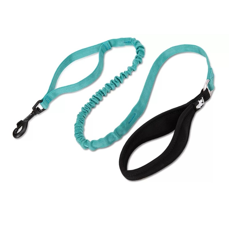 Truelove Durable Bungee Dog Leash – Baltic