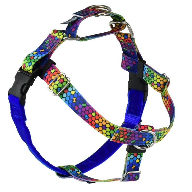 2 Hounds Design Freedom No-Pull Dog Roy G BIV 5/8XSmall 2024