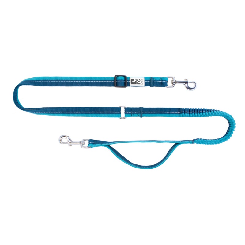 RC PETS Dog Bungee Active Leash, Arctic Blue/ Teal, 1×6.5′
