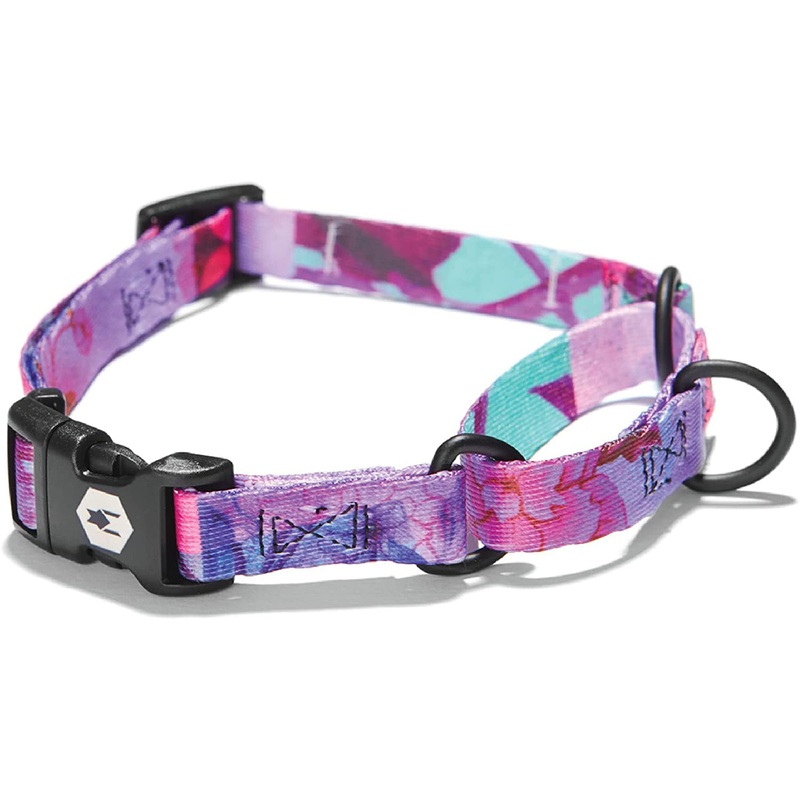 Coastal Drop Wolfgang Martingale Daydream Medium Dog Collar 14-18