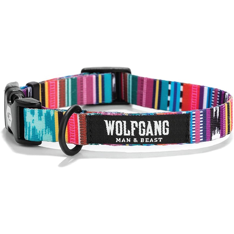 Coastal Drop Wolfgang Martingale Quetzal Small Dog Collar 8-12