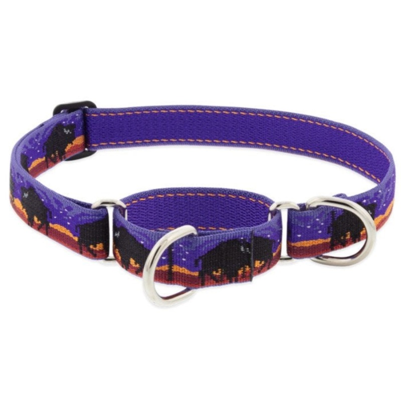 LUPINE Big Sky Collar for Dogs, 1’x12-20