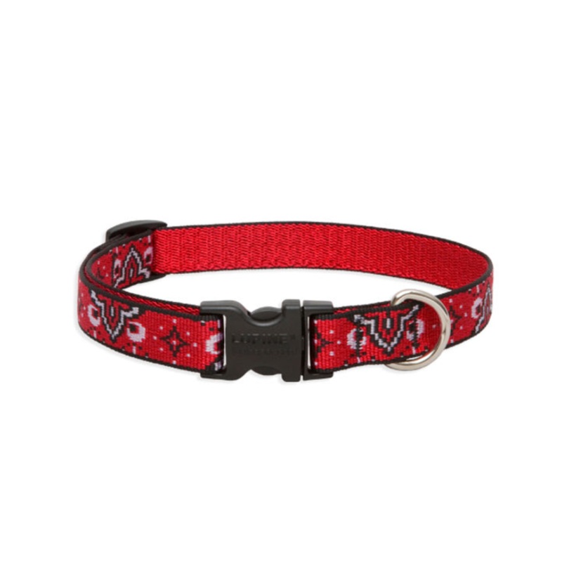 LUPINE Wild West Dog Collar, 3/4×13-22