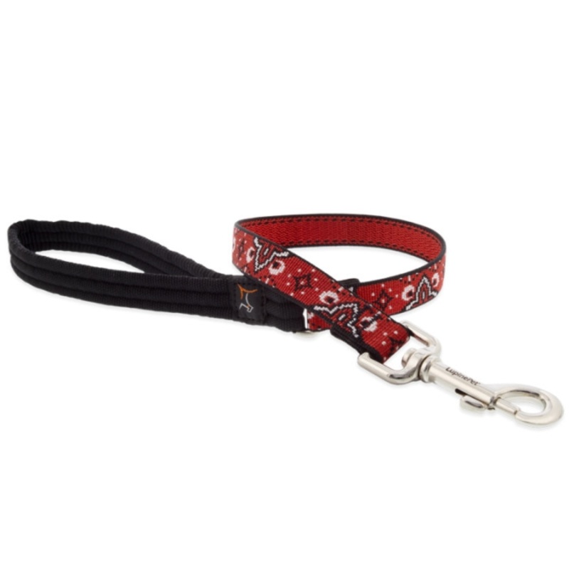 LUPINE Wild West Leash for Dogs, 3/4×6′