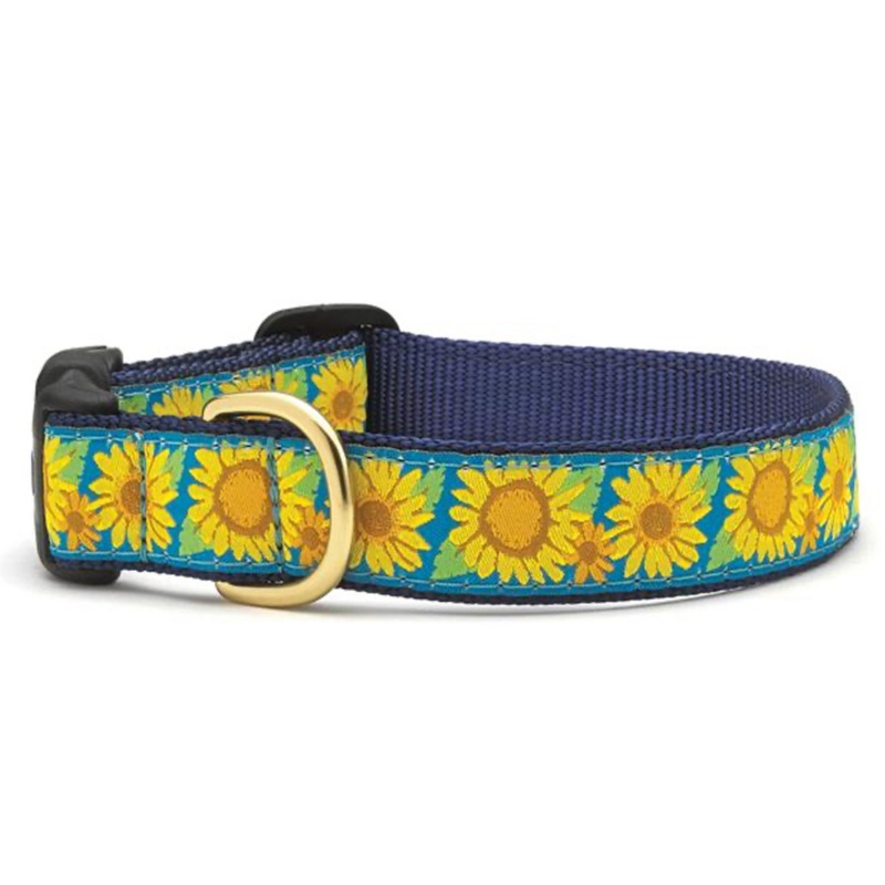 UP COUNTRY Bright Sunflower Collar for Dogs, M, 1×12-18