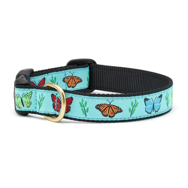 UP COUNTRY Butterfly Effect Collar for Dogs, L, 1×15-21