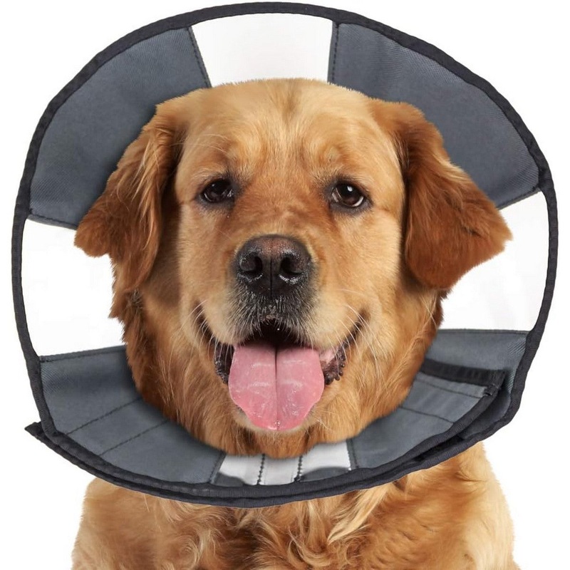 ZenPet ZenCone XL 18-23