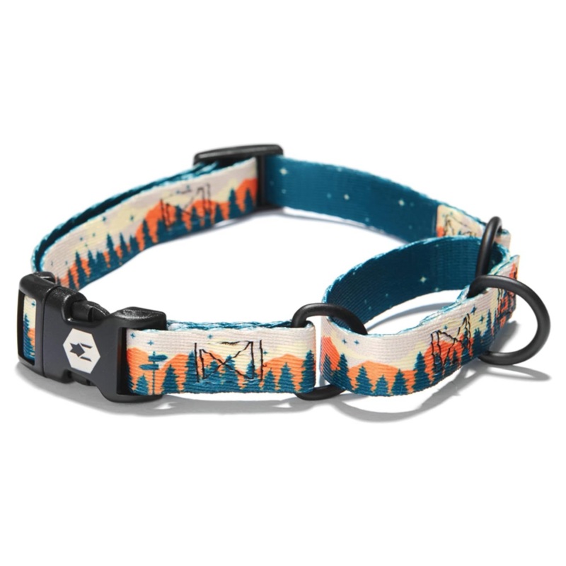 COASTAL DROP Wolfgang Martingale Collar for Dogs, Overland, M, 1×14-18