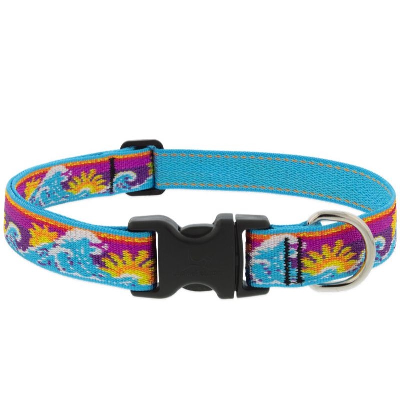 Lupine MicroBatch Dog Collar 1 x 16-28 Surfs Up