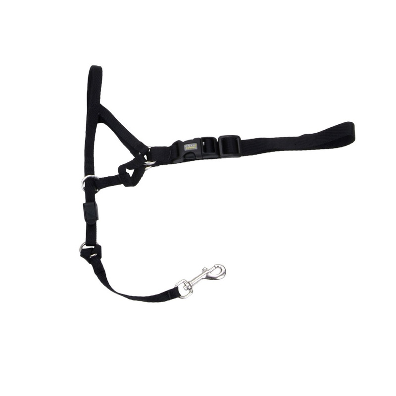 Walk ‘n Train! Dog Head Halter Black Large Size 3