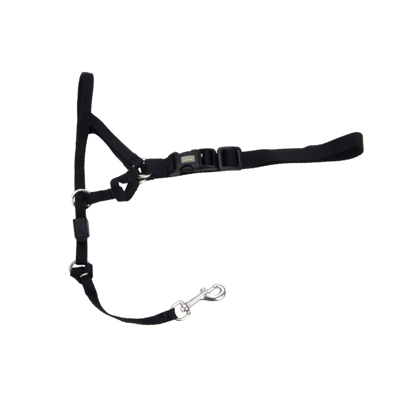 Walk ‘n Train! Dog Head Halter Black Medium Size 2