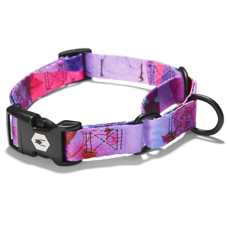 Coastal Drop Wolfgang Martingale DayDream XLarge Dog Collar 22-29