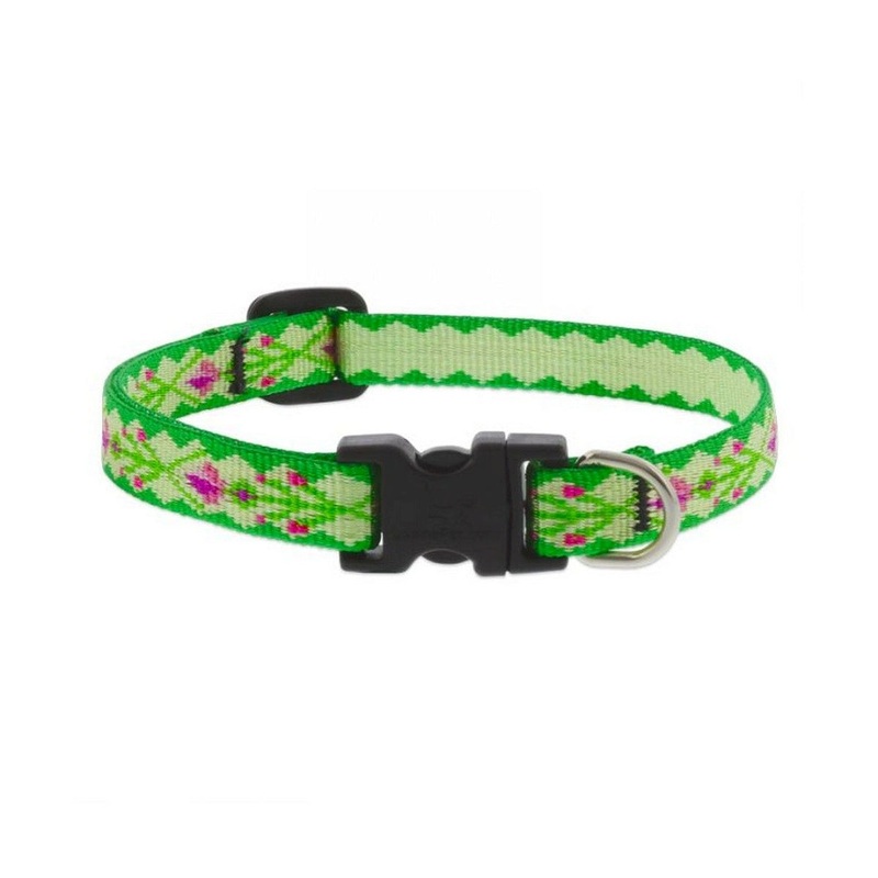 Lupine Adjustable Collar 1/2 Wide X 8-12 Neck Size Scottish Thistle