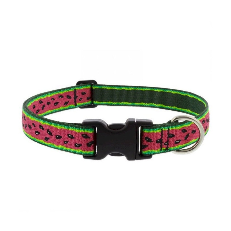 Lupine Adjustable Collar 1 Wide X 16-28 Neck Size Watermelon