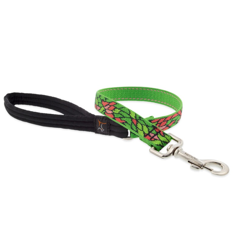 LUPINE MicroBatch Dog Leash 3/4 Wide 4 ft Length Tiffany