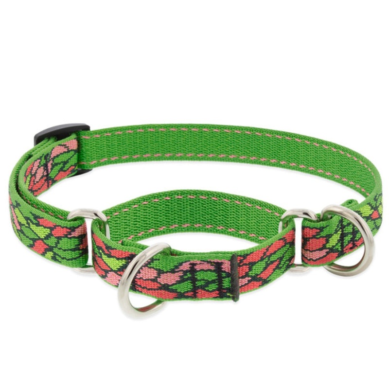 LUPINE MicroBatch Martingale Training Collar 3/4 Wide 14-20 Neck Size
