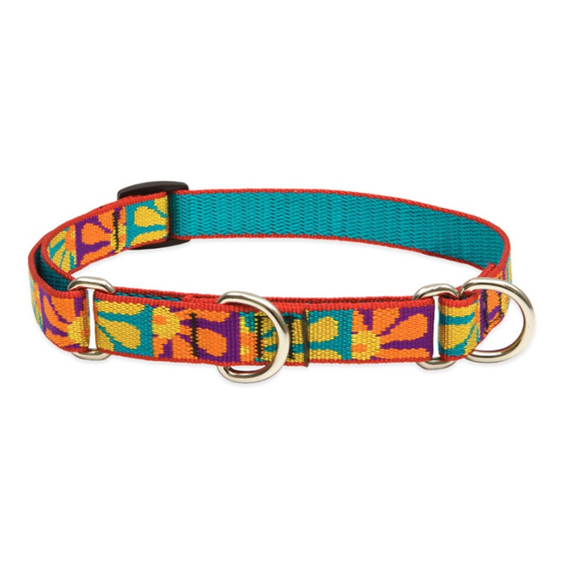 LUPINE Original Martingale Training Dog Collar 3/4 Wide 14-20 Neck Size Crazy Daisy