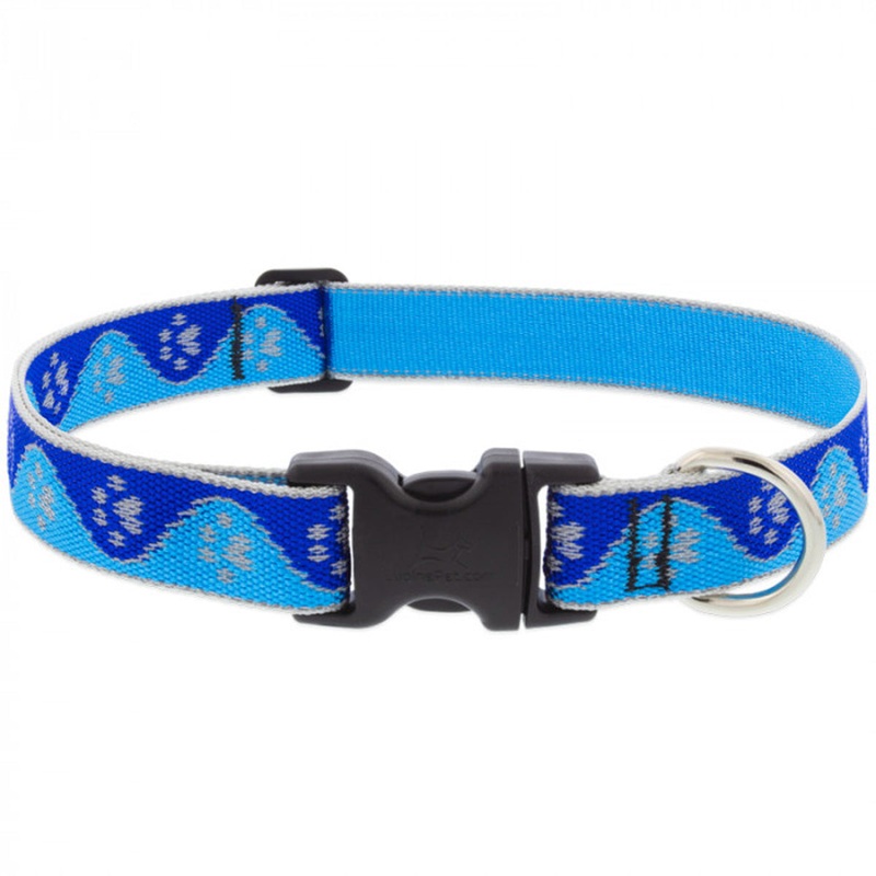Lupine Adjustable Dog Collar 1 Wide X 16-28 Neck Size High Lights Blue Paws