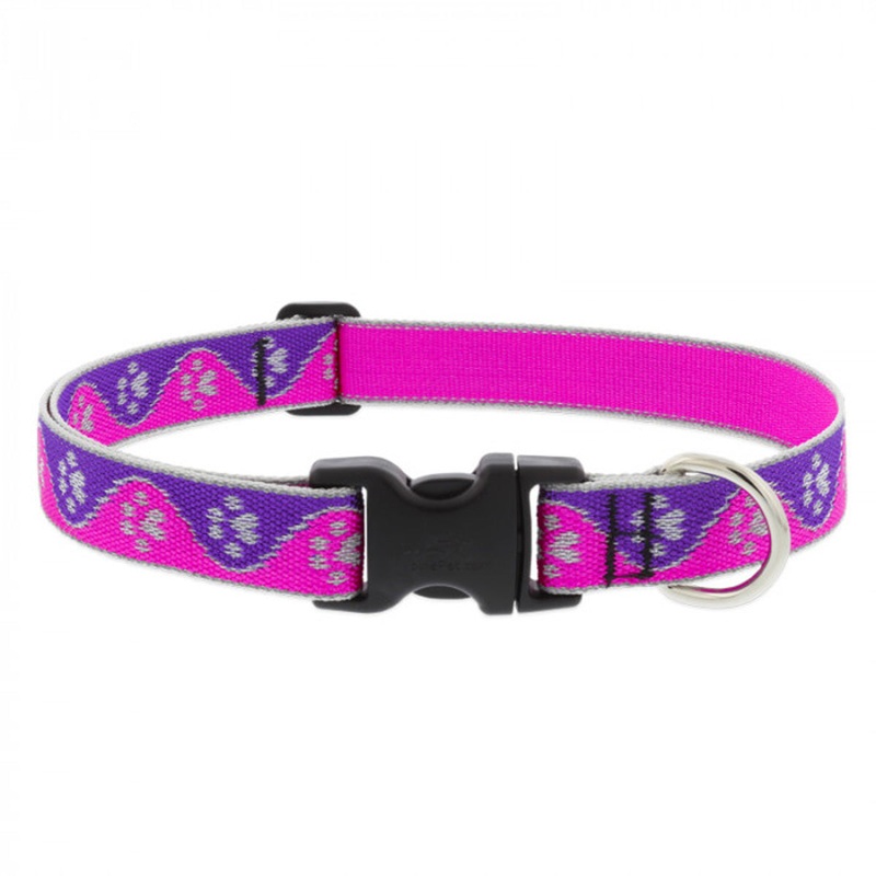 Lupine Adjustable Dog Collar 1 Wide X 16-28 Neck Size High Lights Pink Paws