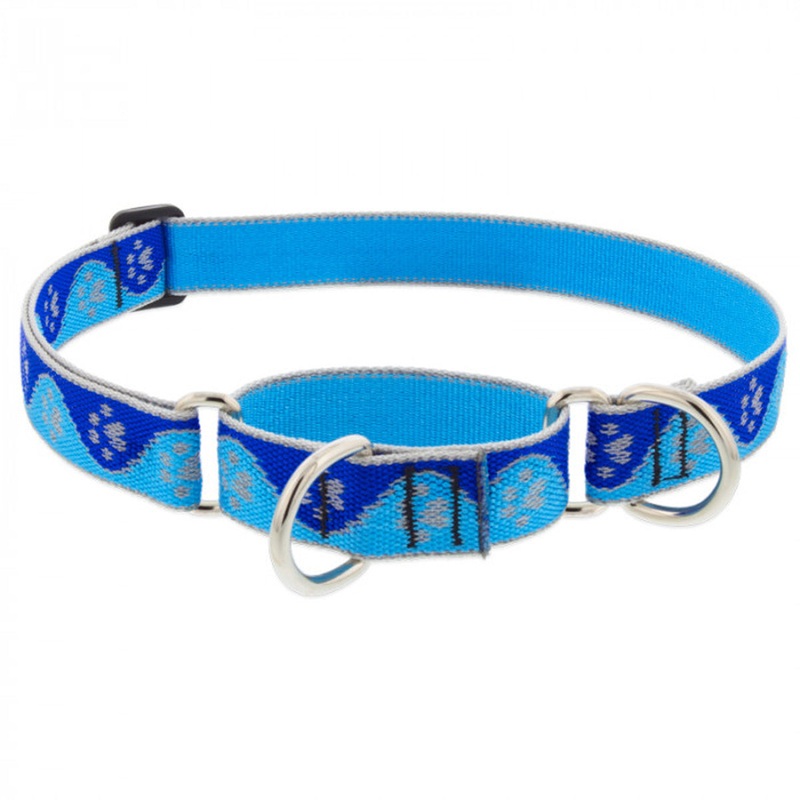 Lupine Dog Collar Martingale 1 Wide X 15-22 Neck Size Blue Paws