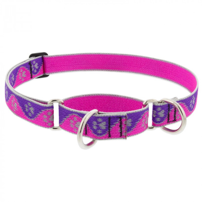 Lupine Dog Collar Martingale 1 Wide X 15-22 Neck Size Pink Paws