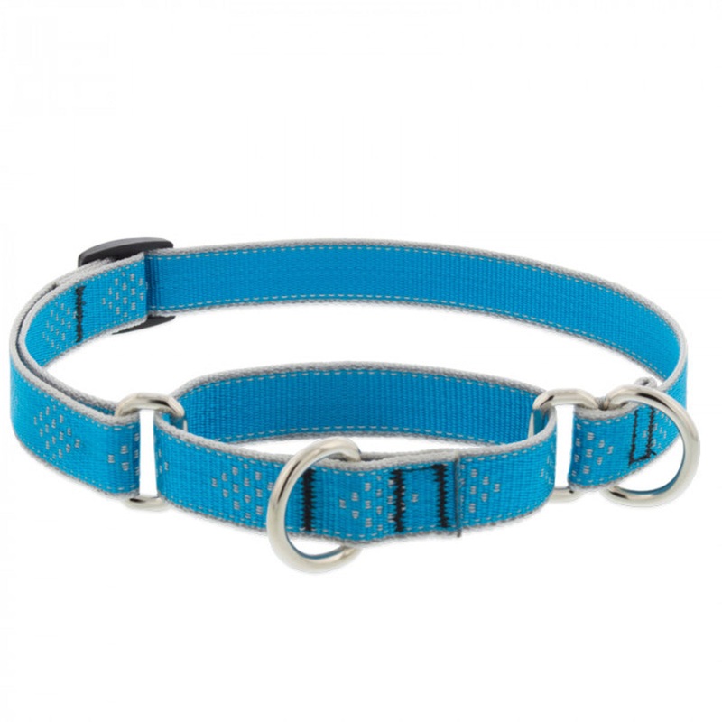 Lupine Dog Collar Martingale 3/4 Wide X 10-14 Neck Size Blue Diamond