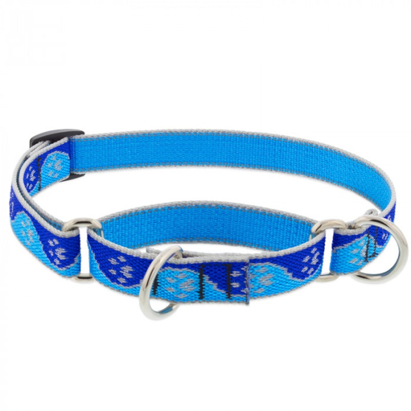 Lupine Dog Collar Martingale 3/4 Wide X 10-14 Neck Size Blue Paws