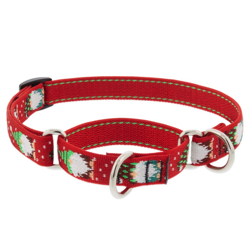 Lupine Martingale Training Dog Collar 3/4 Wide 10-14 Neck Size Gnomes