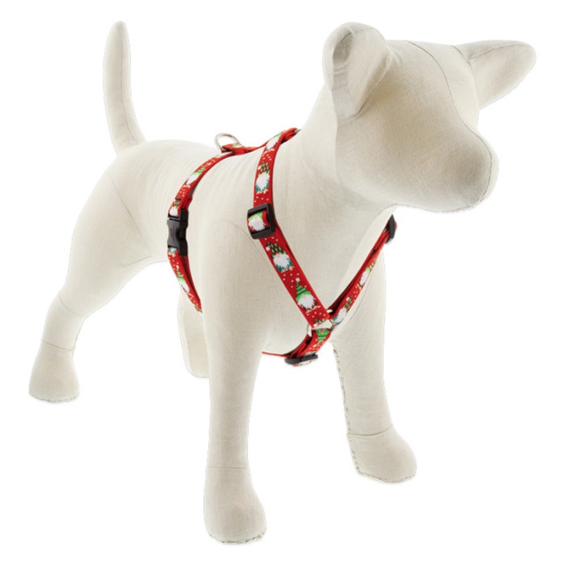 Lupine MicroBatch Roman Dog Harness 3/4 Wide 20-32 Girth Size Gnomes