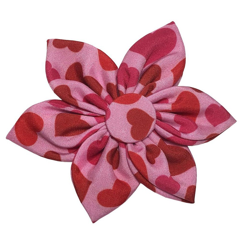 Huxley & Kent Puppy Love Pinwheel For Cats & Dogs Small