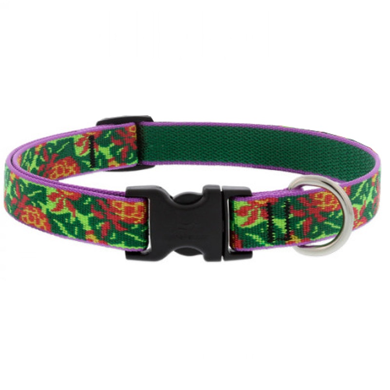 Lupine Adjustable Dog Collar 3/4 Wide x 15-25 Pina Colada