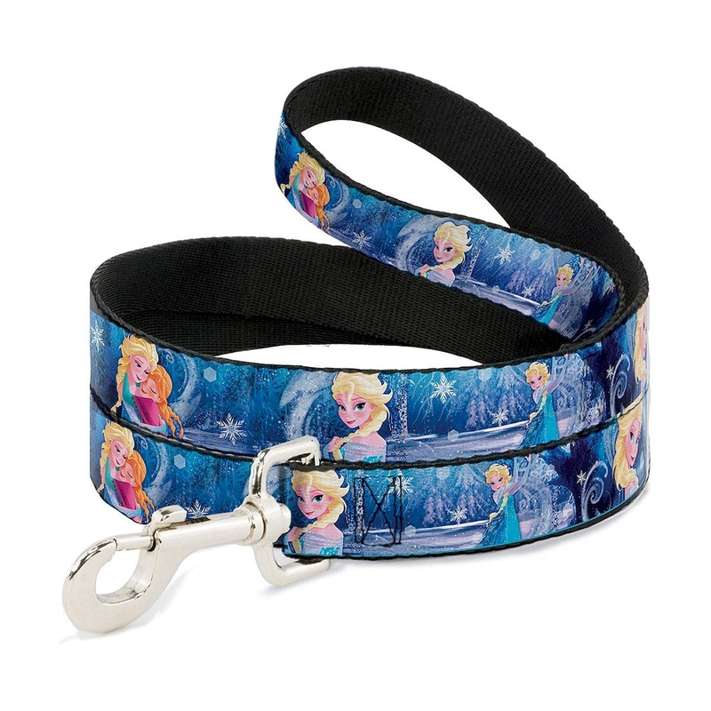 Buckle-Down Dog Leash 4 Elsa