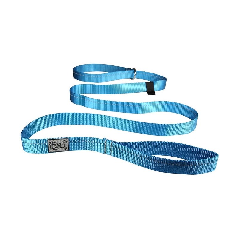 RC Pets Primary Dog Leash 1 Cyan