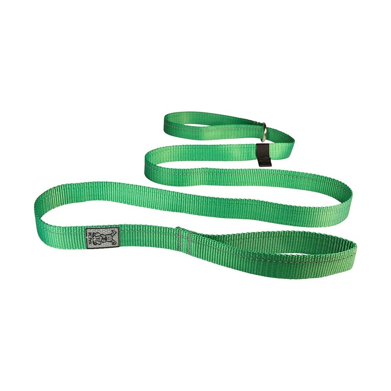 RC Pets Primary Dog Leash 1 Green