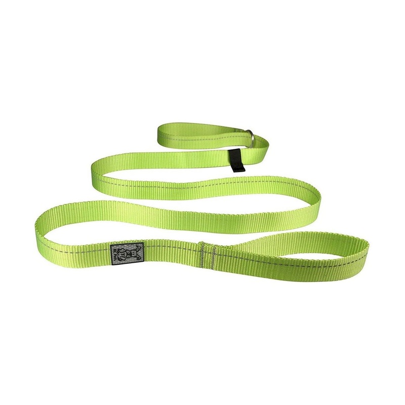 RC Pets Primary Dog Leash 1 Lime
