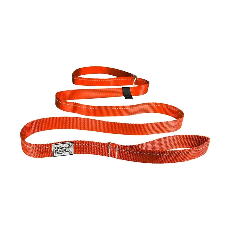 RC Pets Primary Dog Leash 1 Orange