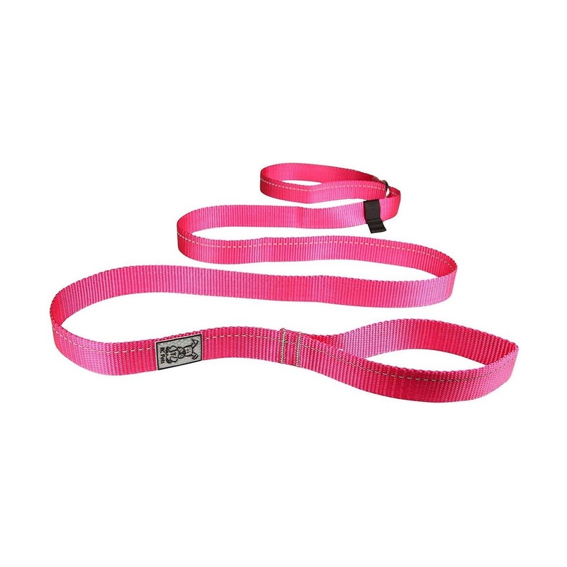 RC Pets Primary Dog Leash 1 Raspberry