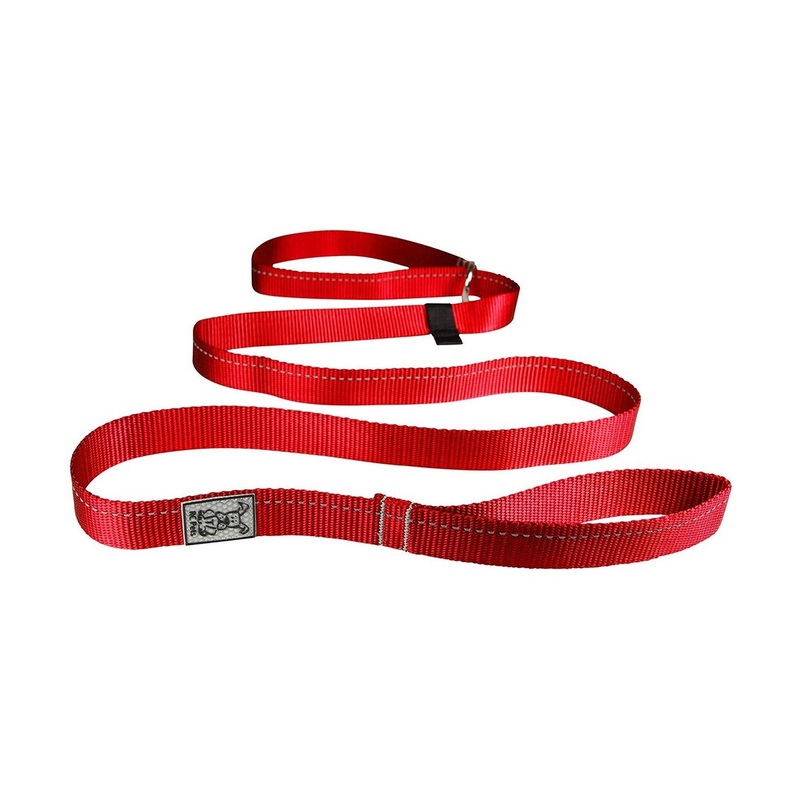 RC Pets Primary Dog Leash 1 Red
