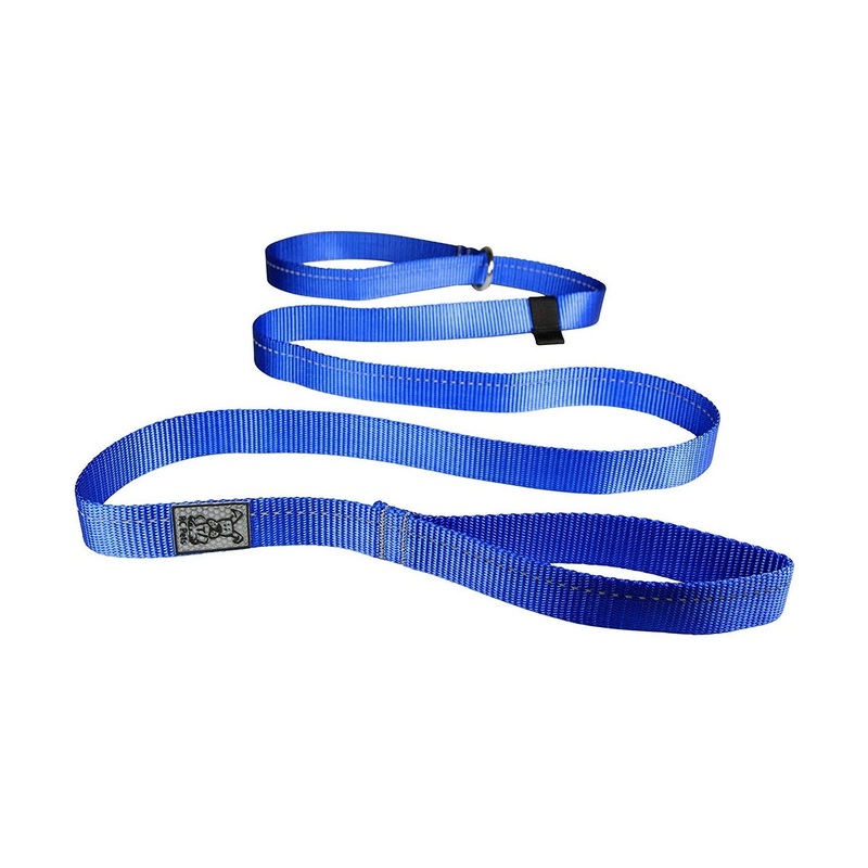 RC Pets Primary Dog Leash 1 Royal Blue