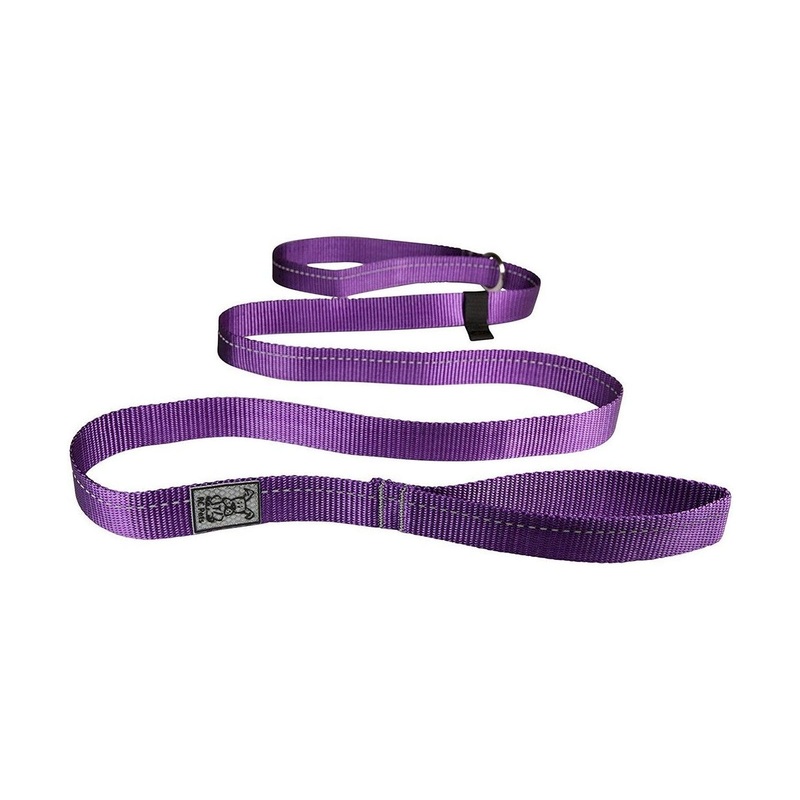 RC Pets Primary Dog Leash 3/4 Purple