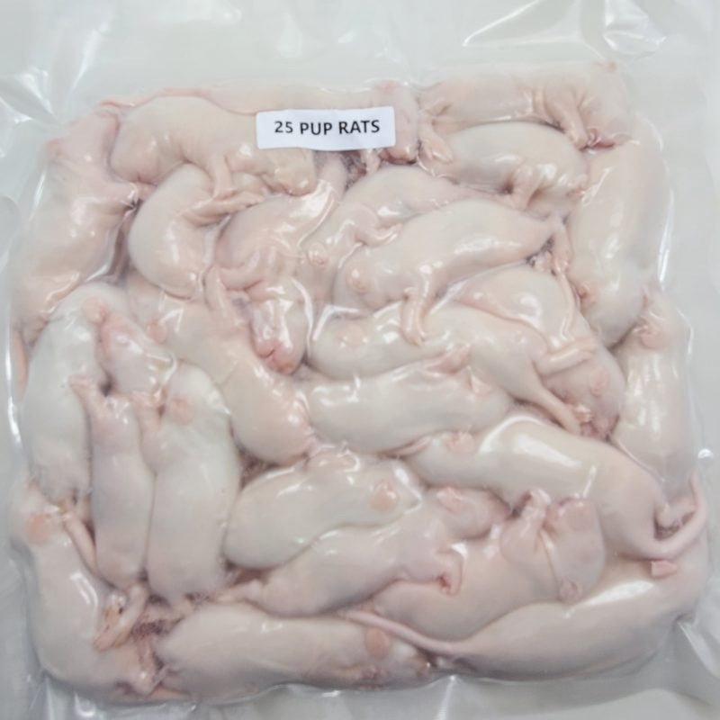 Perfect Prey Frozen Rat Pups