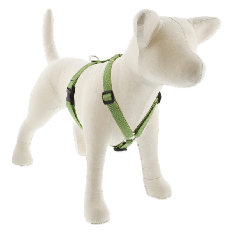Lupine Eco Roman Dog Harness 3/4 x 12-20 Moss