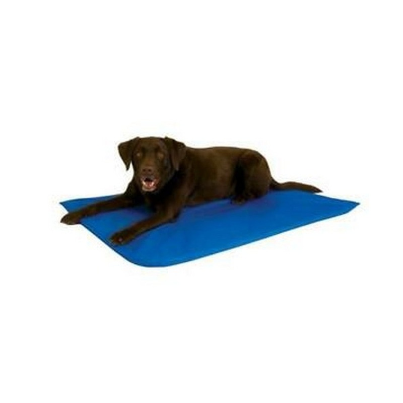 K&H Manufacturing Cool Bed III Cooling Dog Bed Blue Large – 32 x 44