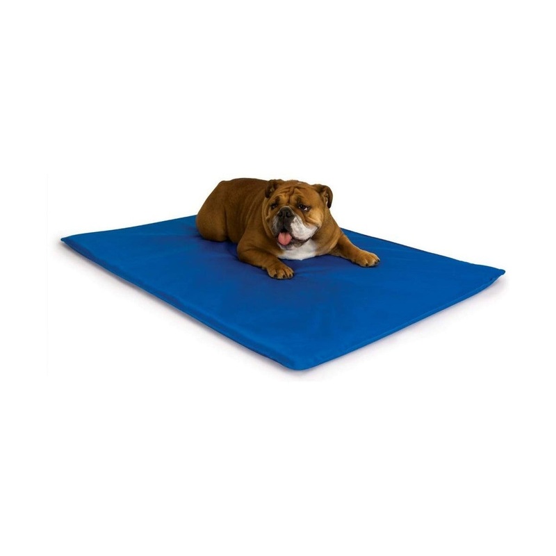 K&H Manufacturing Cool Bed III Cooling Dog Bed Blue Medium – 22 x 32