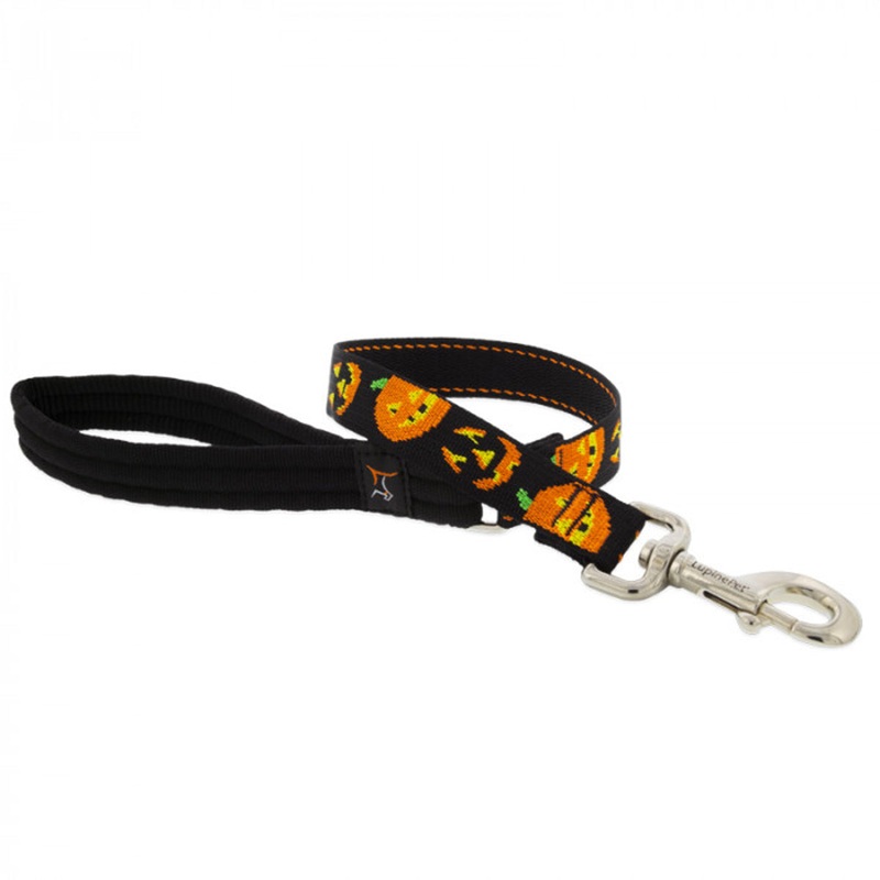 Lupine Dog Leash 1/2 Wide x 4′ Long  Jack O’ Lantern