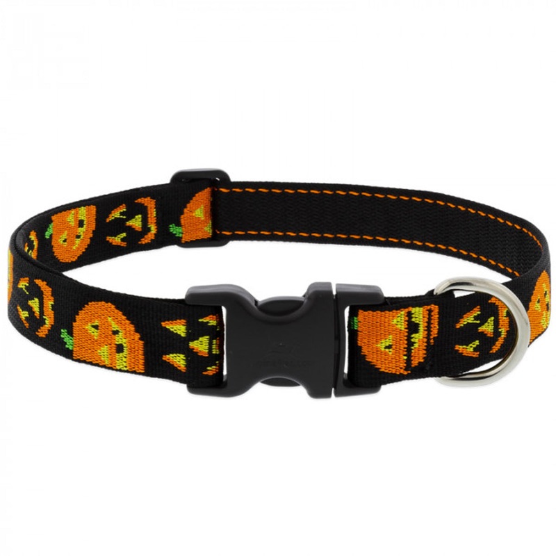Lupine Jack O’ Lantern Adjustable Dog Collar 1 Wide 16-28 Neck Size