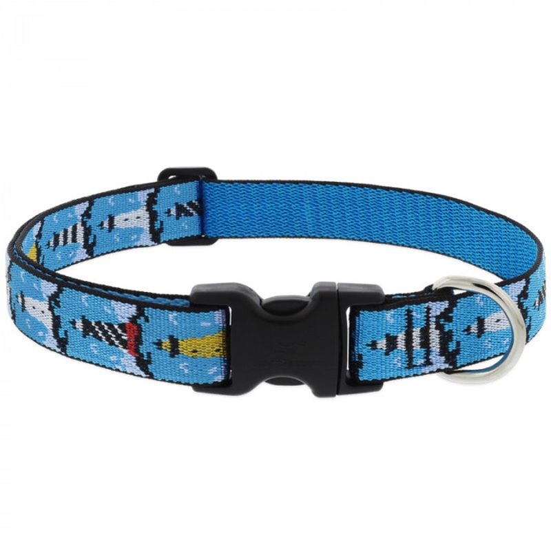 Lupine On The Rocks Adjustable Dog Collar 1 Wide 16-28 Neck Size