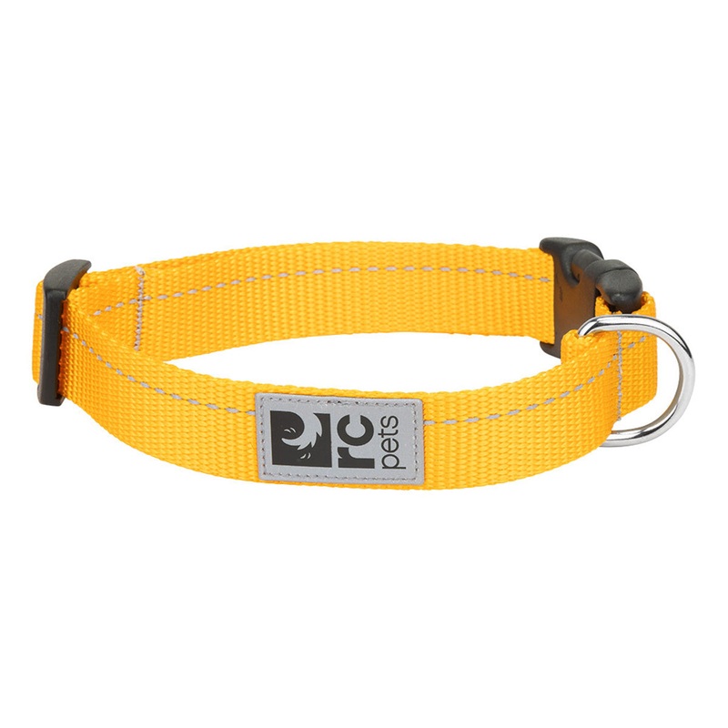 RC Pets Primary Clip Collar Marigold Small 3/4 Width