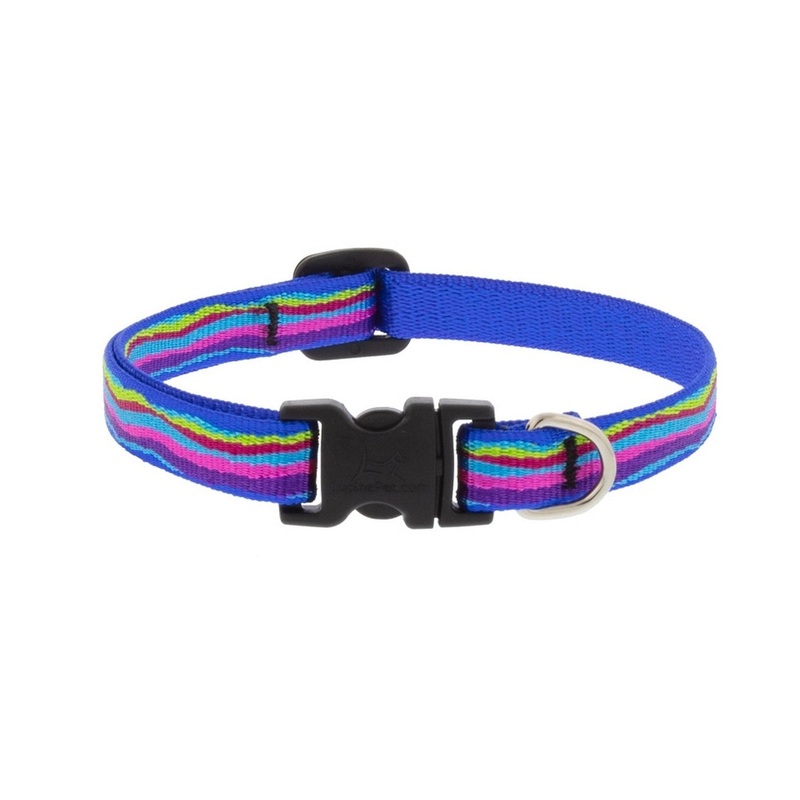 Ripple Creek 1/2 W X 6-9 Neck Adjustable Dog Collar