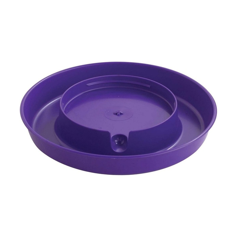 Little Giant 1-Gallon Screw-On Poultry Waterer Base – 750 Purple